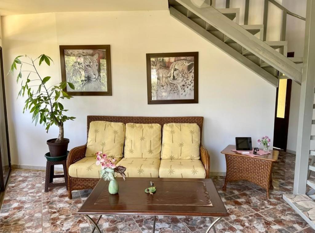 Matapalo  Villa Pura Vida מראה חיצוני תמונה