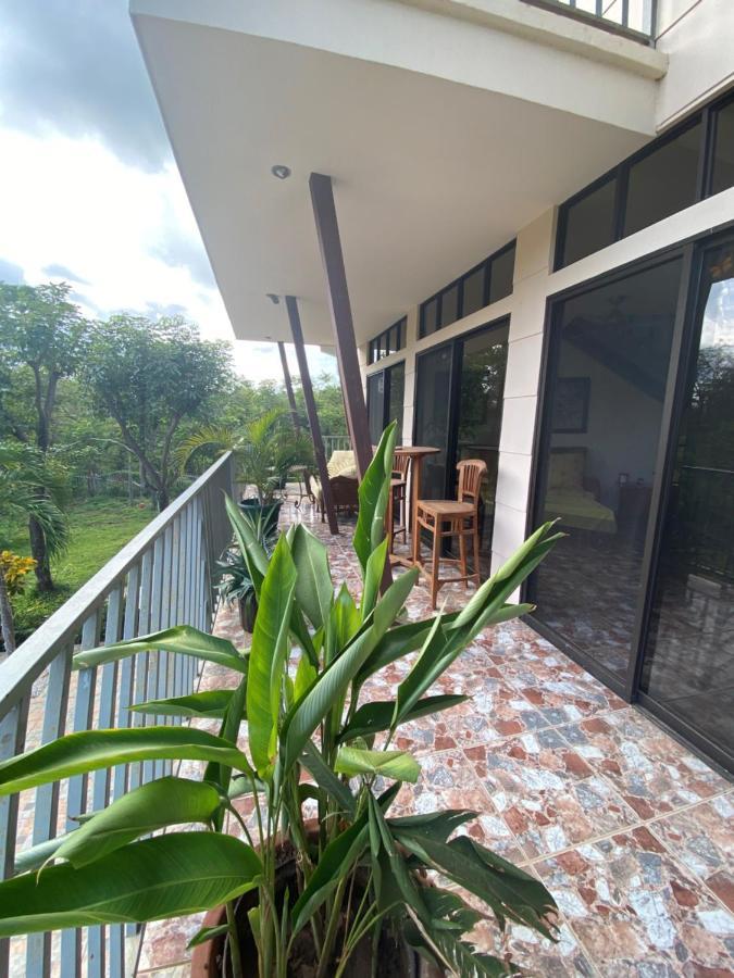 Matapalo  Villa Pura Vida מראה חיצוני תמונה