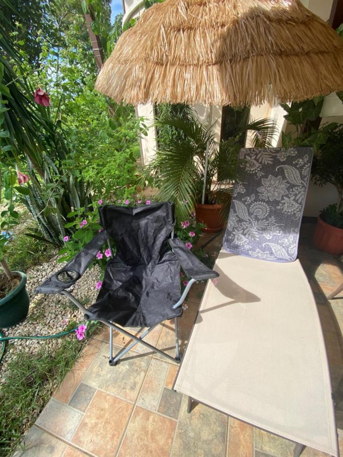 Matapalo  Villa Pura Vida מראה חיצוני תמונה